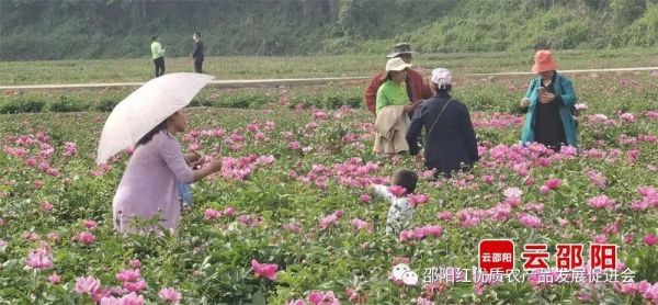 图片 5