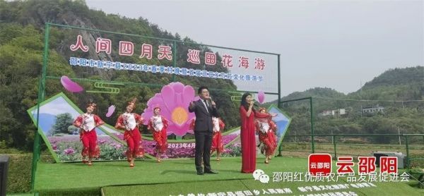图片 9