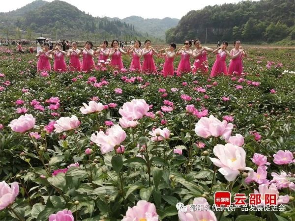 图片 4