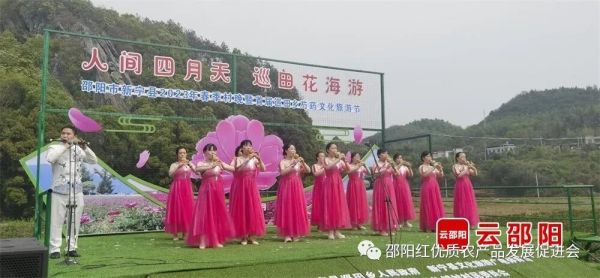 图片 8
