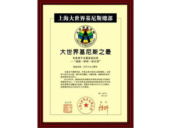 大世界基尼斯之最