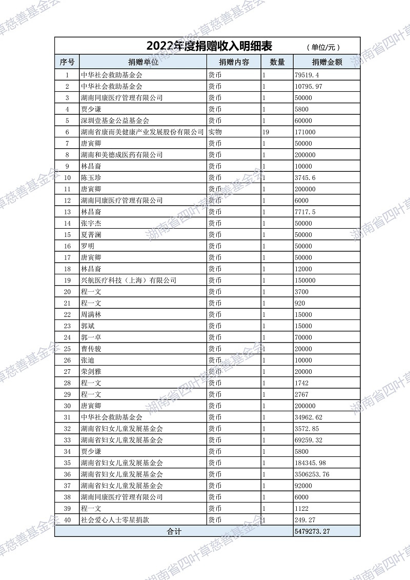 2022年度捐赠收入明细表