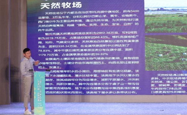 图片 14