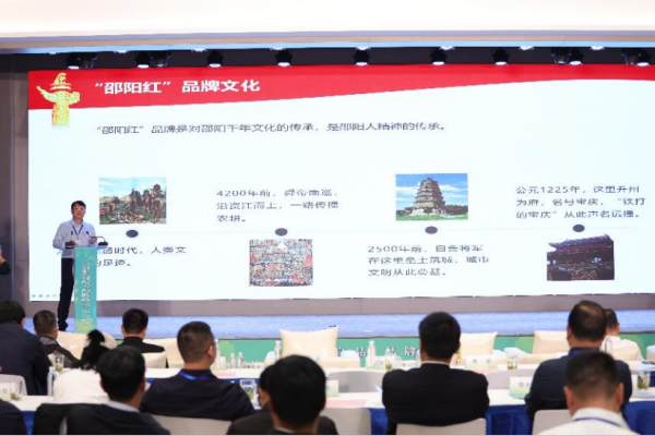 图片 13