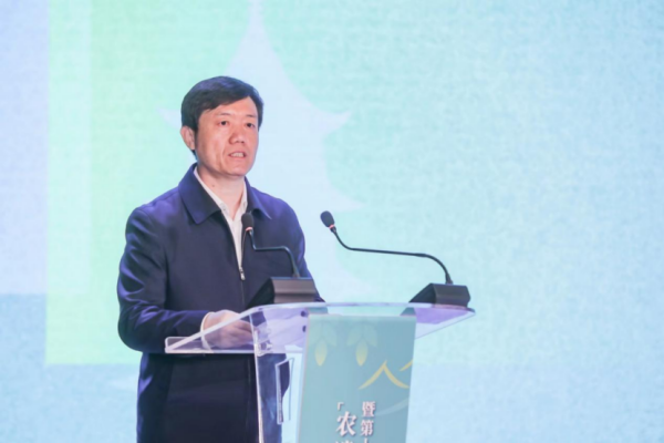图片 6
