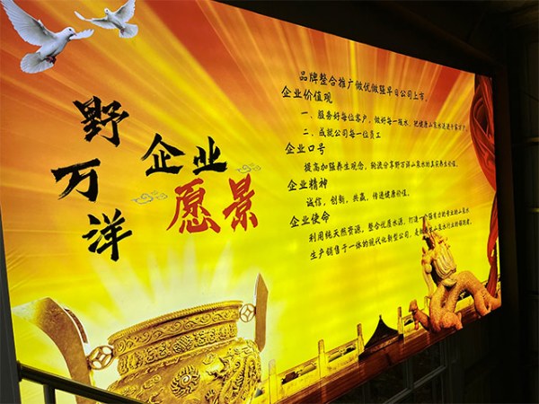 公司环境