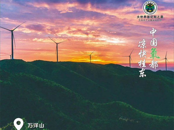 风景照片