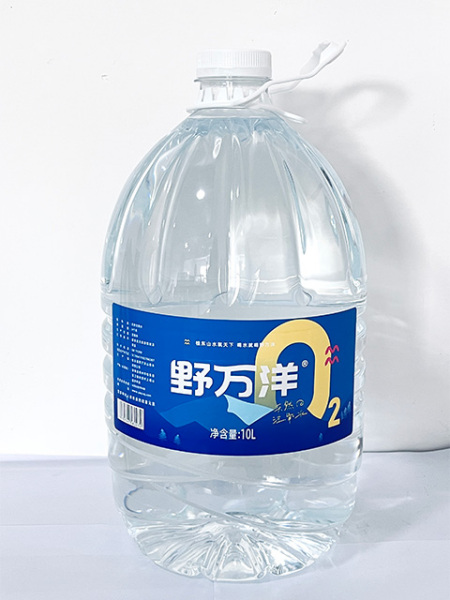 10L蓝色包装桶装水