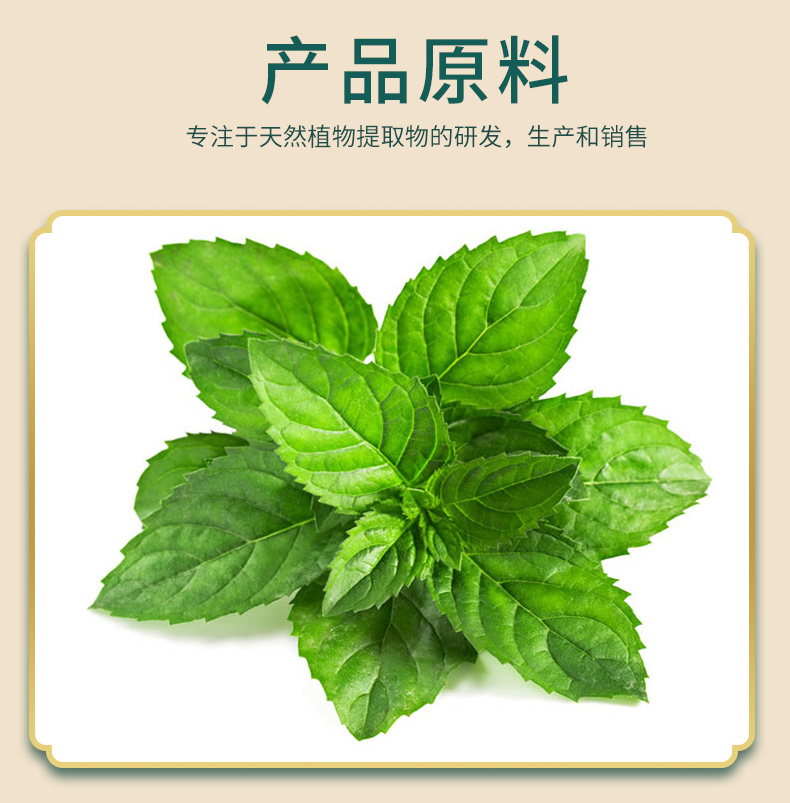 薄荷提取物-詳情精華版_03