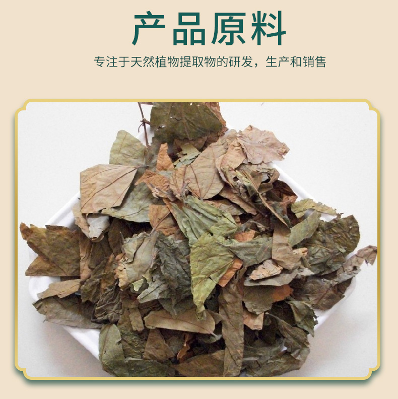 布渣叶提取物-详情精华版_03