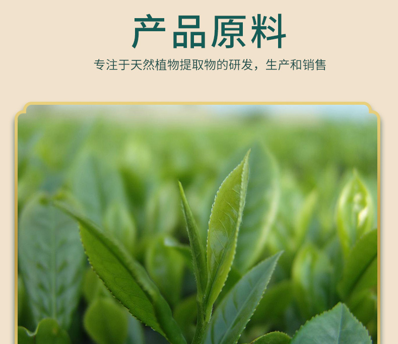 詳情精華版-綠茶提取物EGC98%_03