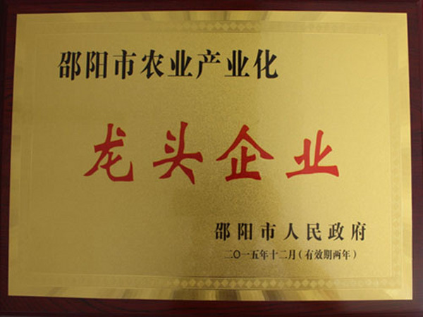 龙头企业