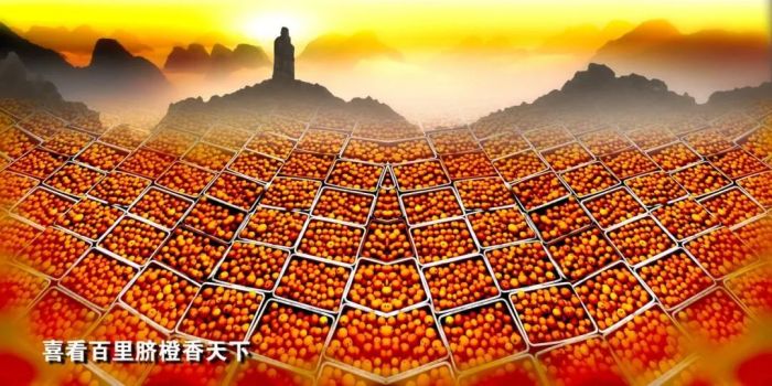 图片 18