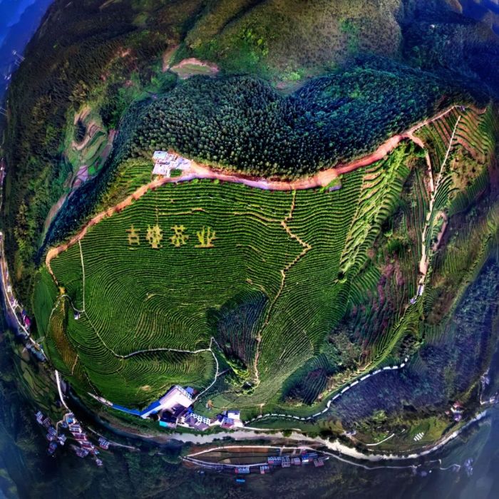 图片 21