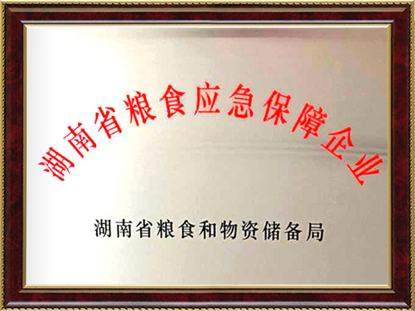 湖南省糧食應(yīng)急保障企業(yè)