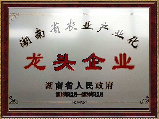 龍頭企業(yè)