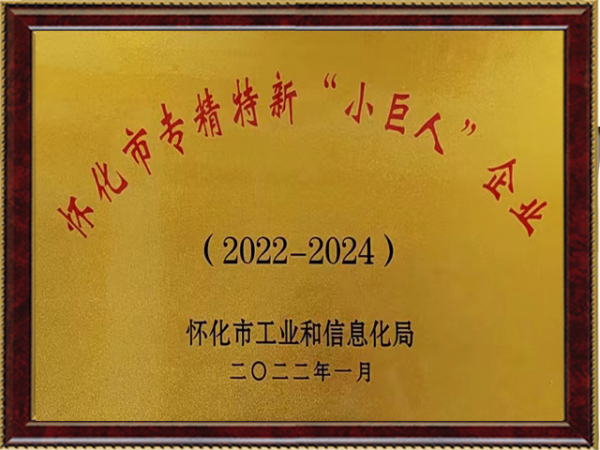懷化市“小巨人”企業(yè)