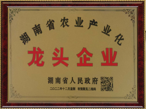 龍頭企業(yè)