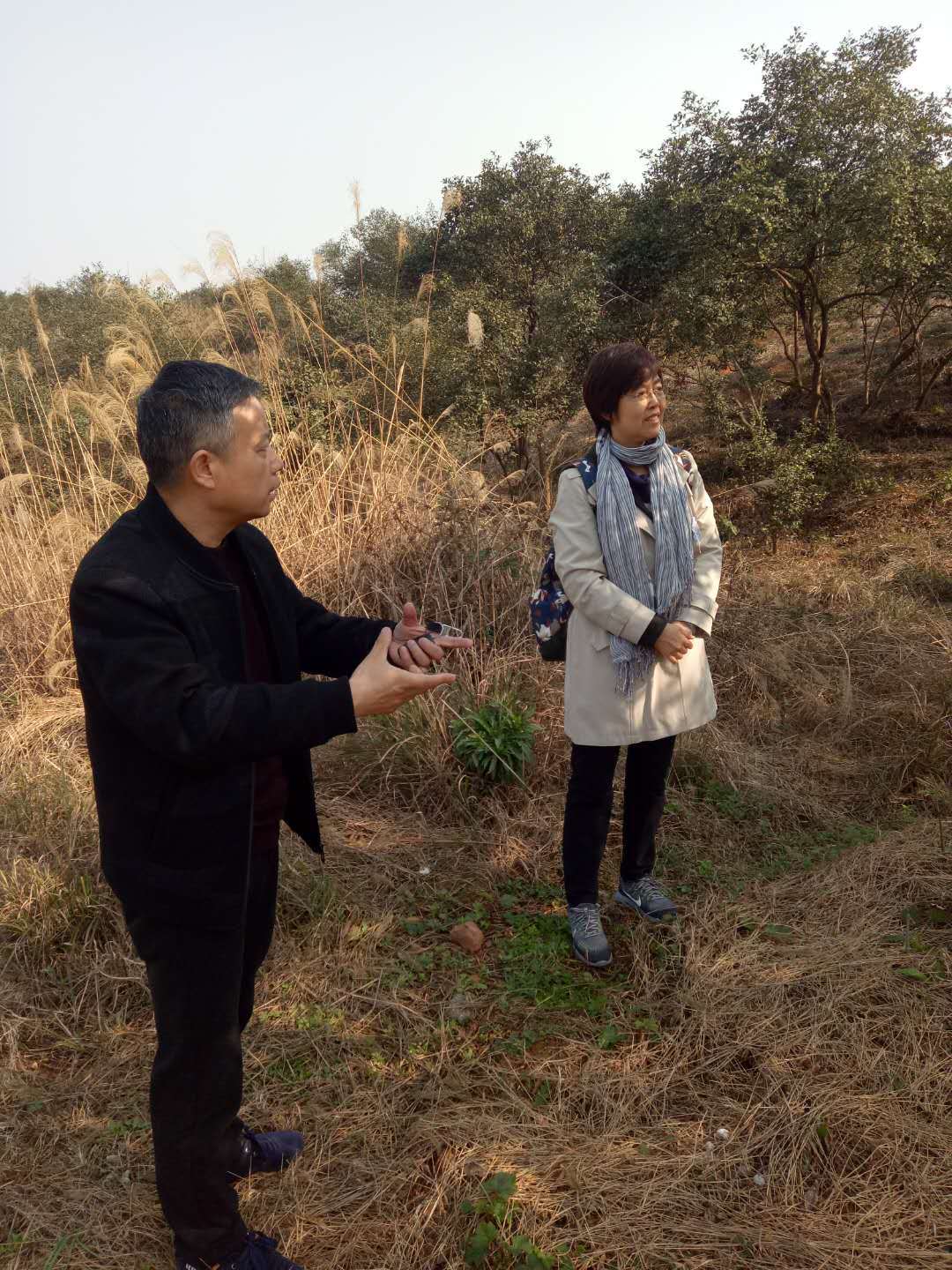 桃源县茶籽油,桃源县油茶种植基地,常德金虹茶油,“泥头山”牌茶籽油