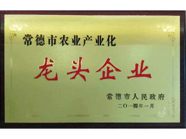 龙头企业