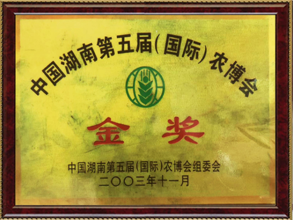 金獎