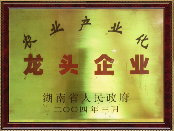 龍頭企業(yè)