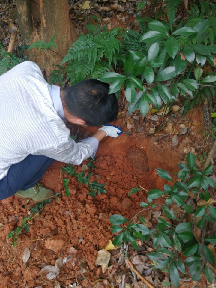 白蚁防治14