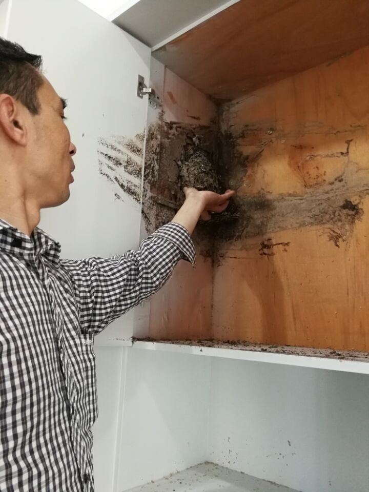 白蚁防治23