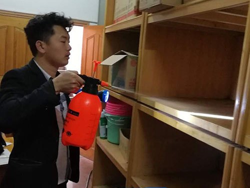 青竹湖湘外国语学校仓库被家白蚁危害