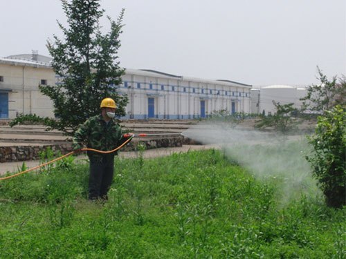 防治绿化草坪