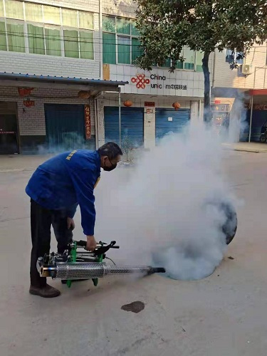 白蚁灭治