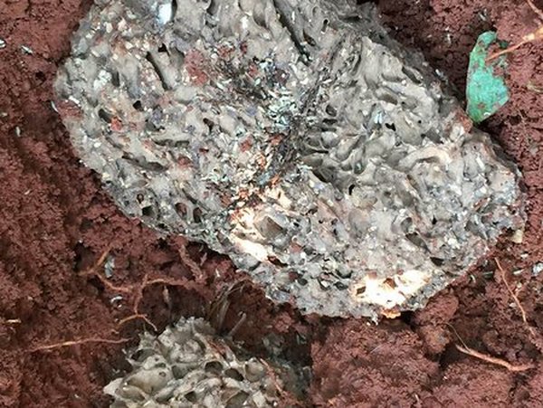 建筑物预防白蚁工程技术措施