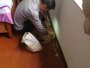 湖北嘉鱼县田野集团办公楼白蚁危害现场 