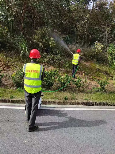 白蚁灭治