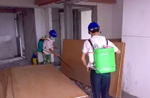长沙武威白蚁防治有限公司,长沙白蚁防治,长沙灭鼠,治蟑螂哪里的好