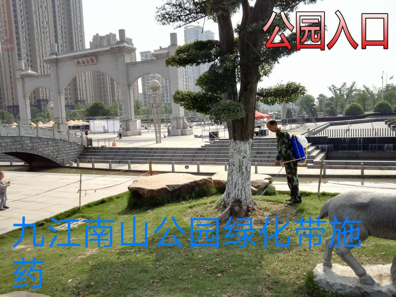 白蚁防治10