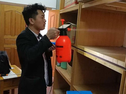 青竹湖湘外国语学校仓库被家白蚁危害