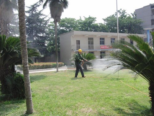 防治绿化草坪