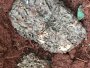 白蚁防治25