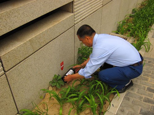 灭鼠