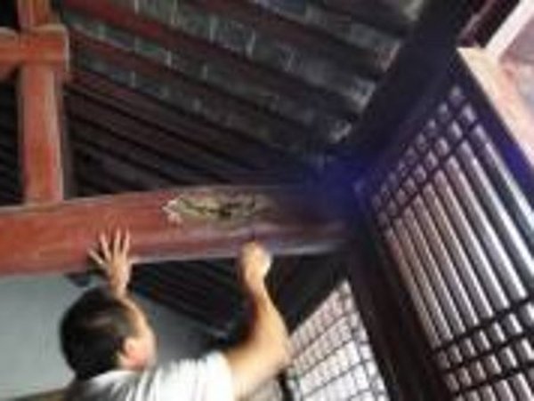 家庭白蚁防治小常识