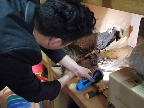 青竹湖湘外国语学校仓库被家白蚁危害
