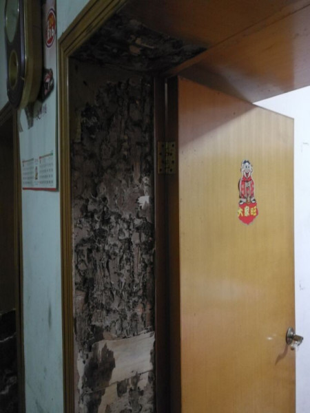 白蚁防治4
