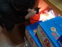 青竹湖湘外国语学校仓库被家白蚁危害