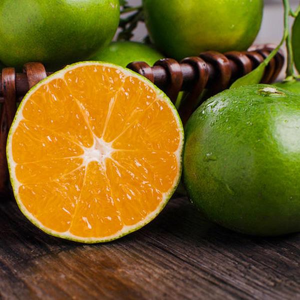 蜜橘是什么样的水果？