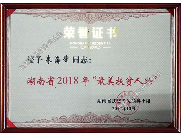 湖南省2018年“最美扶贫人物”