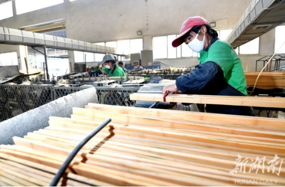 懷化市恒裕竹木開發有限公司,懷化竹制廚具,懷化家具工藝品,懷化竹炭