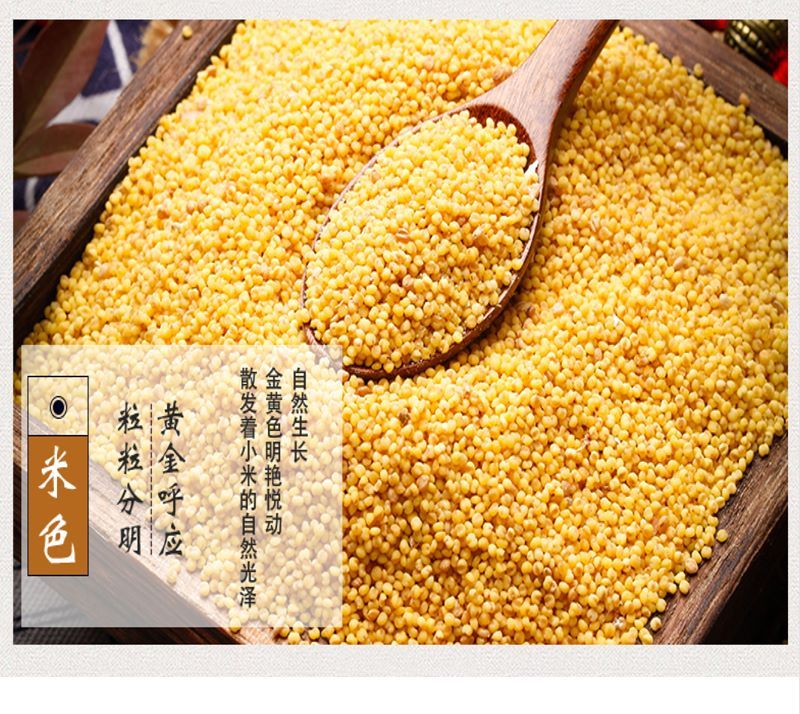 湖南鲜美滋商贸有限公司,湖南海产品,蔬菜制品,杂粮