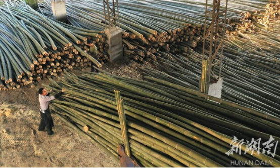 懷化市恒裕竹木開發有限公司,懷化竹制廚具,懷化家具工藝品,懷化竹炭
