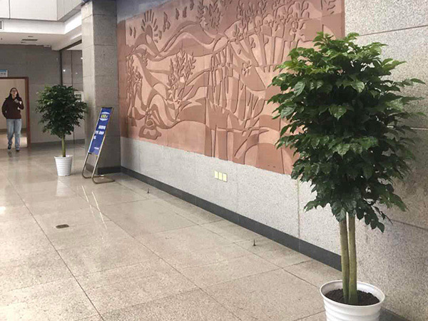 绿植租赁,植物租赁,花卉植物租赁,湖南御花园花卉园艺有限责任公司 绿植租赁,植物租赁,花卉植物租赁,湖南御花园花卉园艺有限责任公司